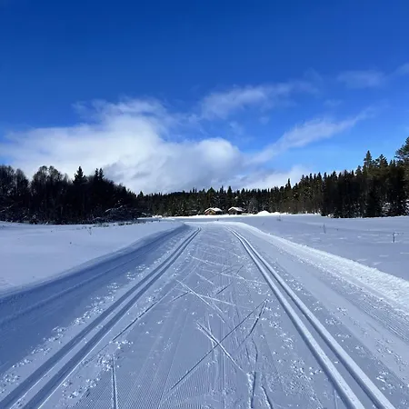 Cozy Apartment With Ski Inn - Ski Out On Golsfjellet * גול