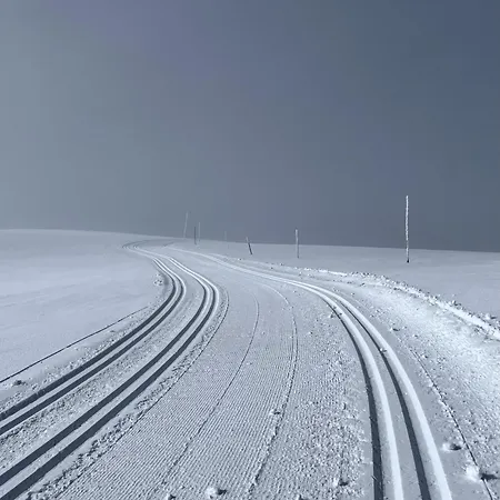 Cozy Apartment With Ski Inn - Ski Out On Golsfjellet דירה *