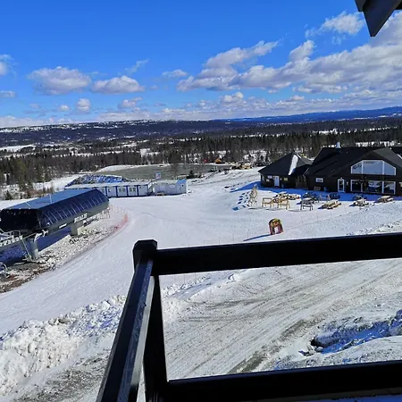 Apartment Koselig Med In Out Pa Golsfjellet *