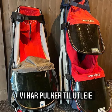 Koselig Med In Out Pa Golsfjellet *