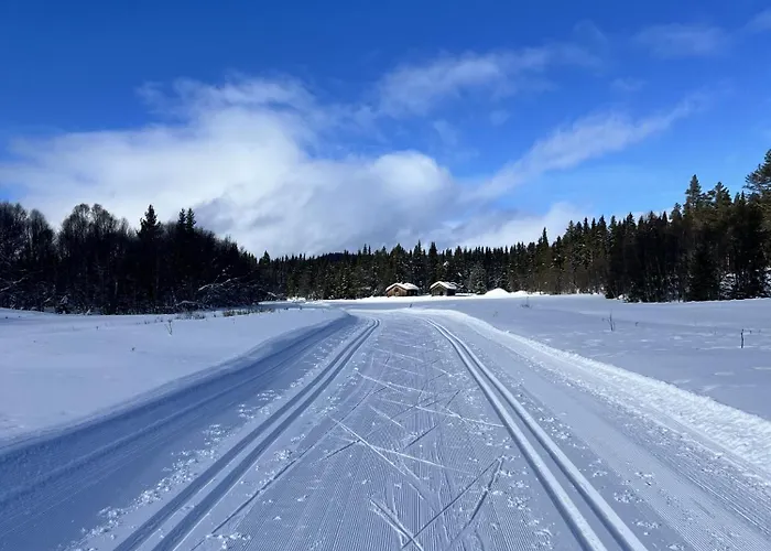Koselig Med In Out Pa Golsfjellet * Gol