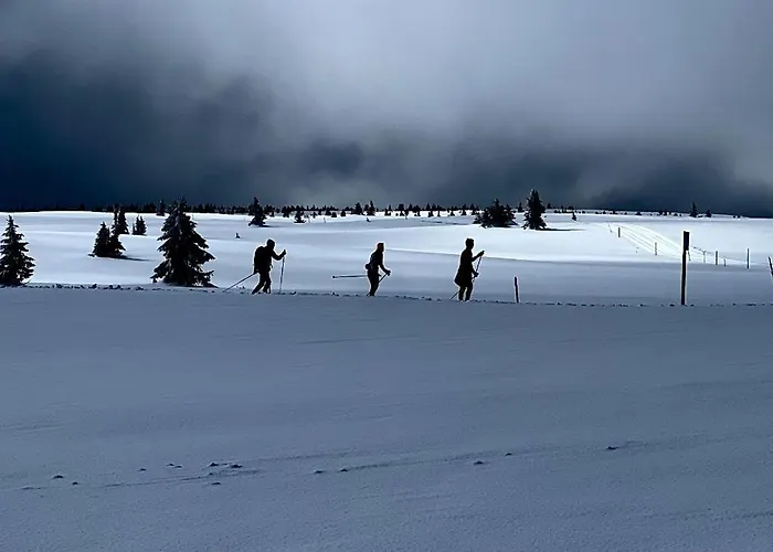 Apartamento Koselig Med In Out Pa Golsfjellet