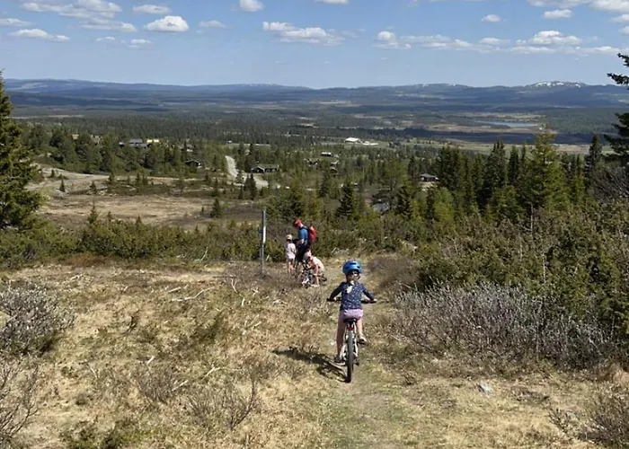 Koselig Med In Out Pa Golsfjellet * Gol